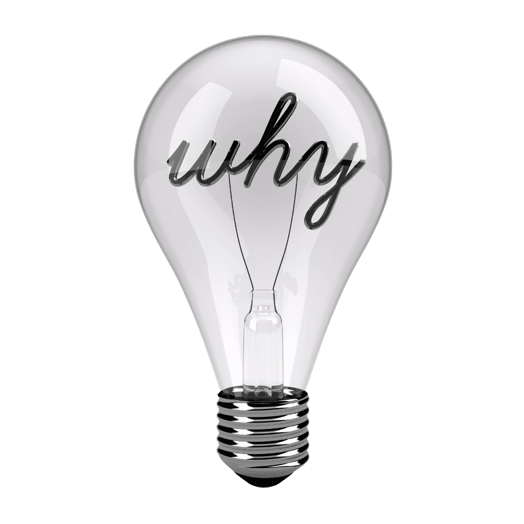 Why Choose Us
