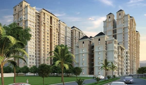 Purva Northern Lights
